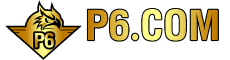 P6 SLOT